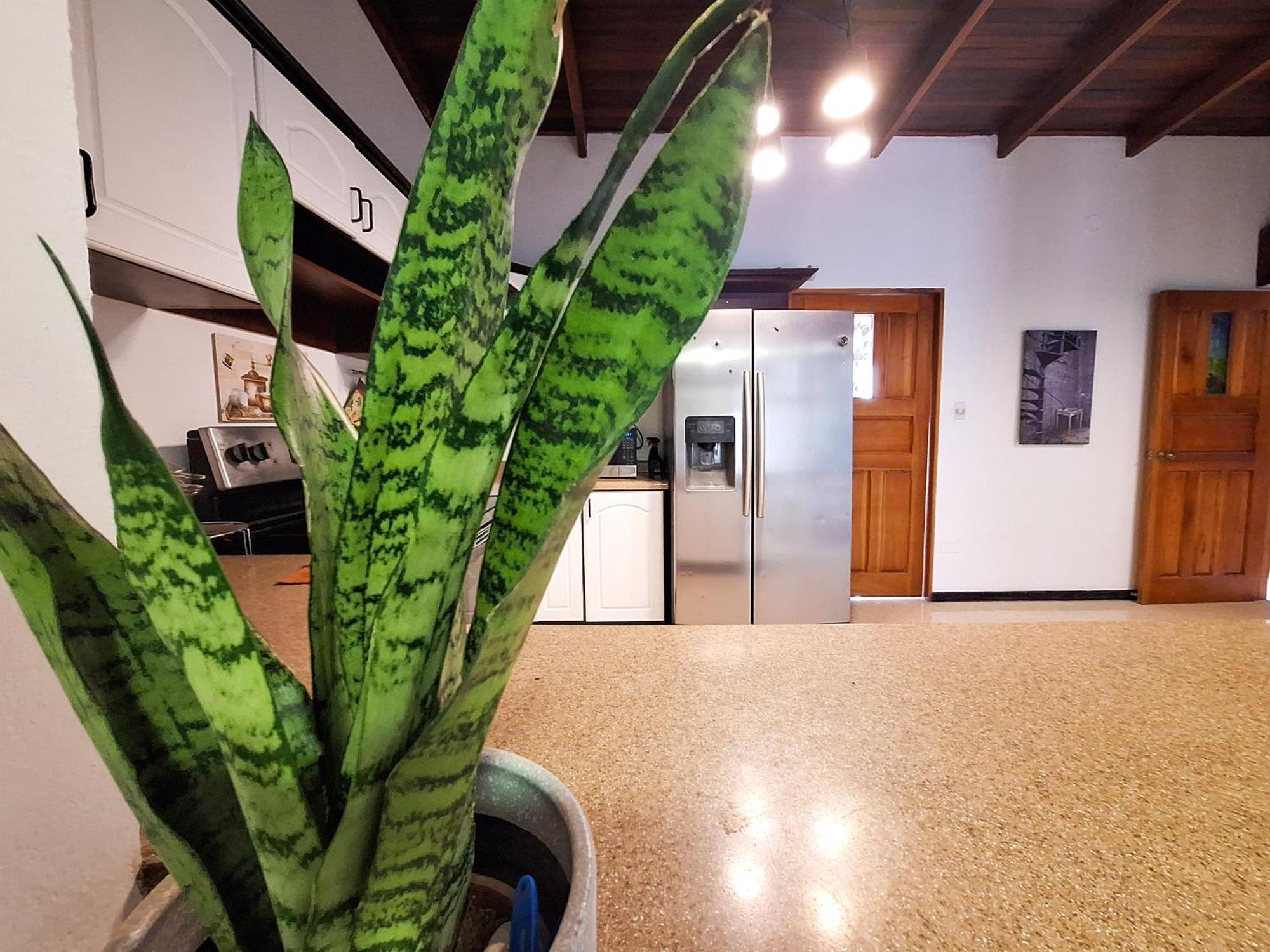 Jungla Urbana, Bnb Pavas Eksteriør bilde
